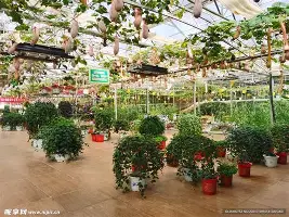 开云中国网站-清晨纽卡斯尔备战全明星赛英超版图或变，曼联冲刺阶段复出首秀瞬间刷屏的简单介绍